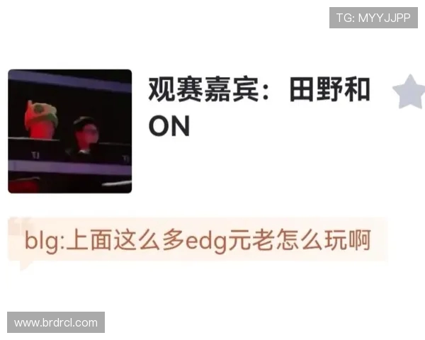 赛后分析：BLG与EDG对决中的战术博弈与策略解析